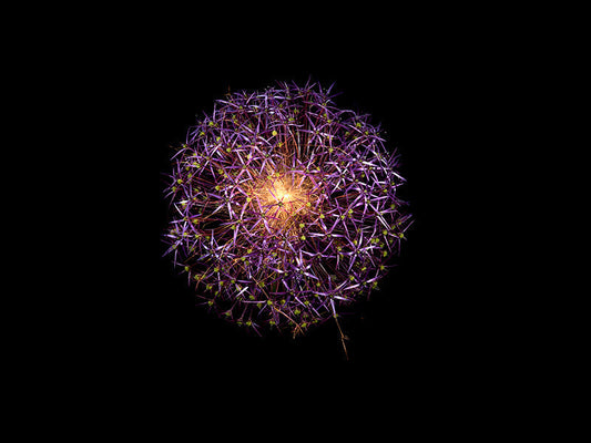Underwater photograph exploding flower series sparks energy shot Warm Low Light tonality from the Fusion series