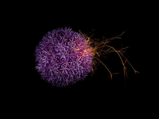 Underwater photograph exploding flower series sparks energy shot Warm Low Light tonality from the Fusion series