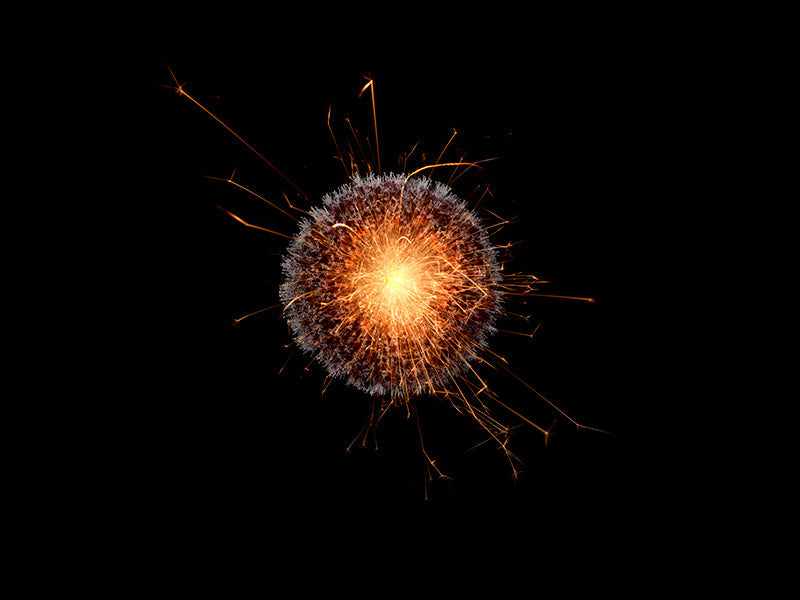 Underwater photograph exploding flower series sparks energy shot Warm Low Light tonality from the Fusion series