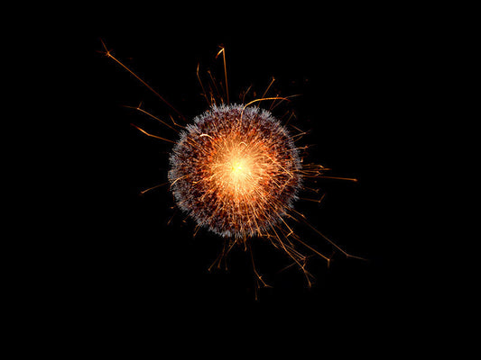 Underwater photograph exploding flower series sparks energy shot Warm Low Light tonality from the Fusion series