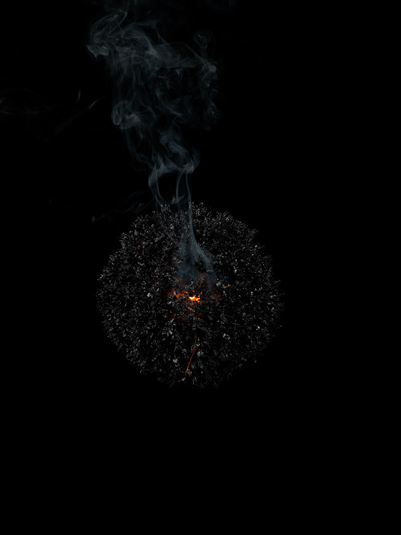 Underwater photograph exploding flower series sparks energy shot Cool Low Light tonality from the Fusion series