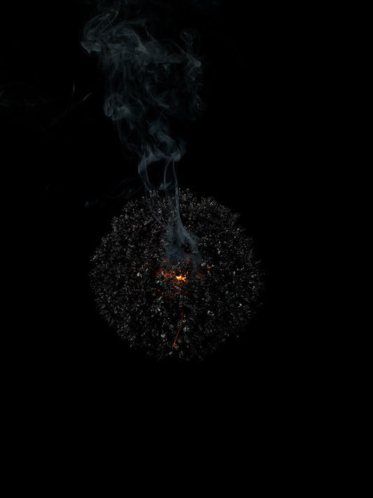 Underwater photograph exploding flower series sparks energy shot Cool Low Light tonality from the Fusion series