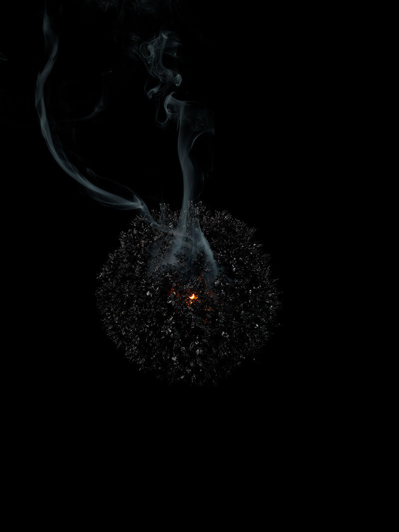 Underwater photograph exploding flower series sparks energy shot Cool Low Light tonality from the Fusion series