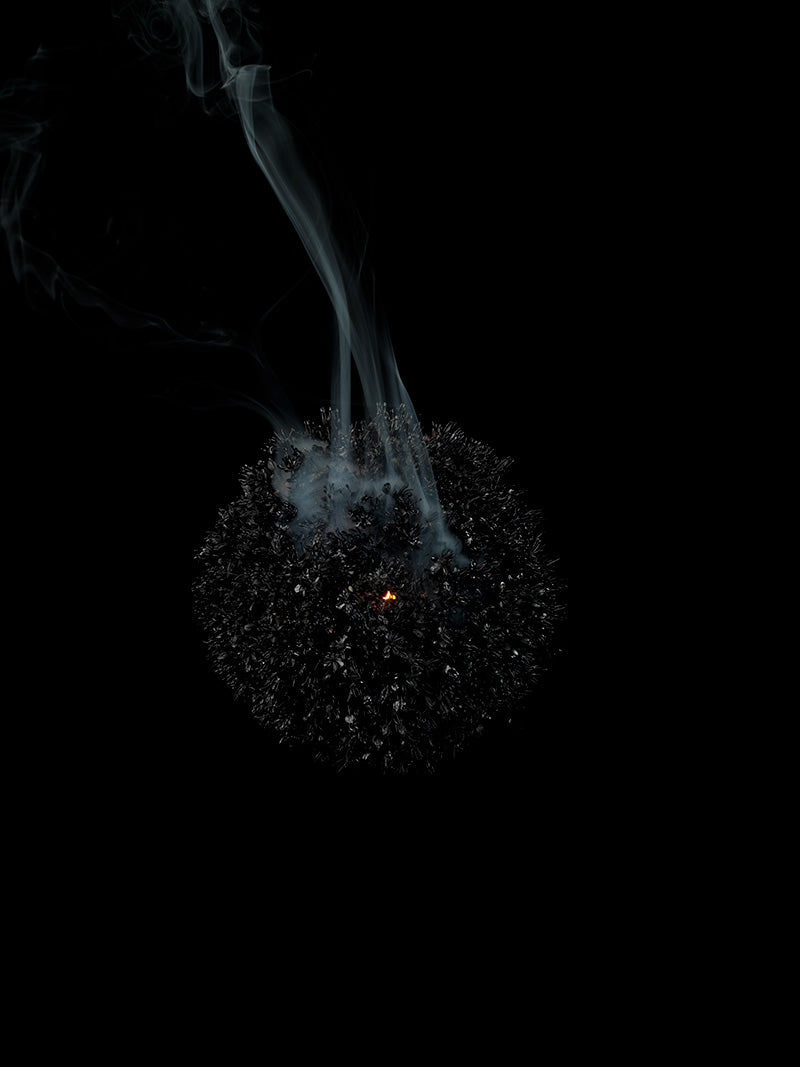 Underwater photograph exploding flower series sparks energy shot Cool Low Light tonality from the Fusion series