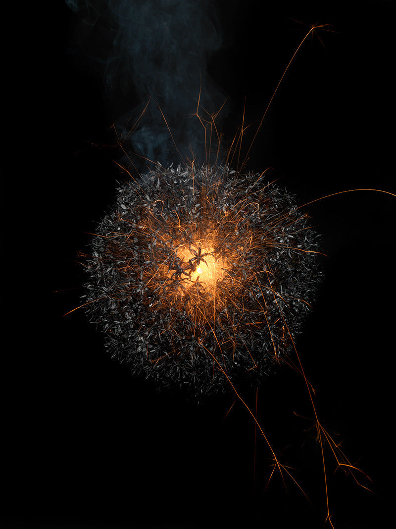 Underwater photograph exploding flower series sparks energy shot Warm Low Light tonality from the Fusion series