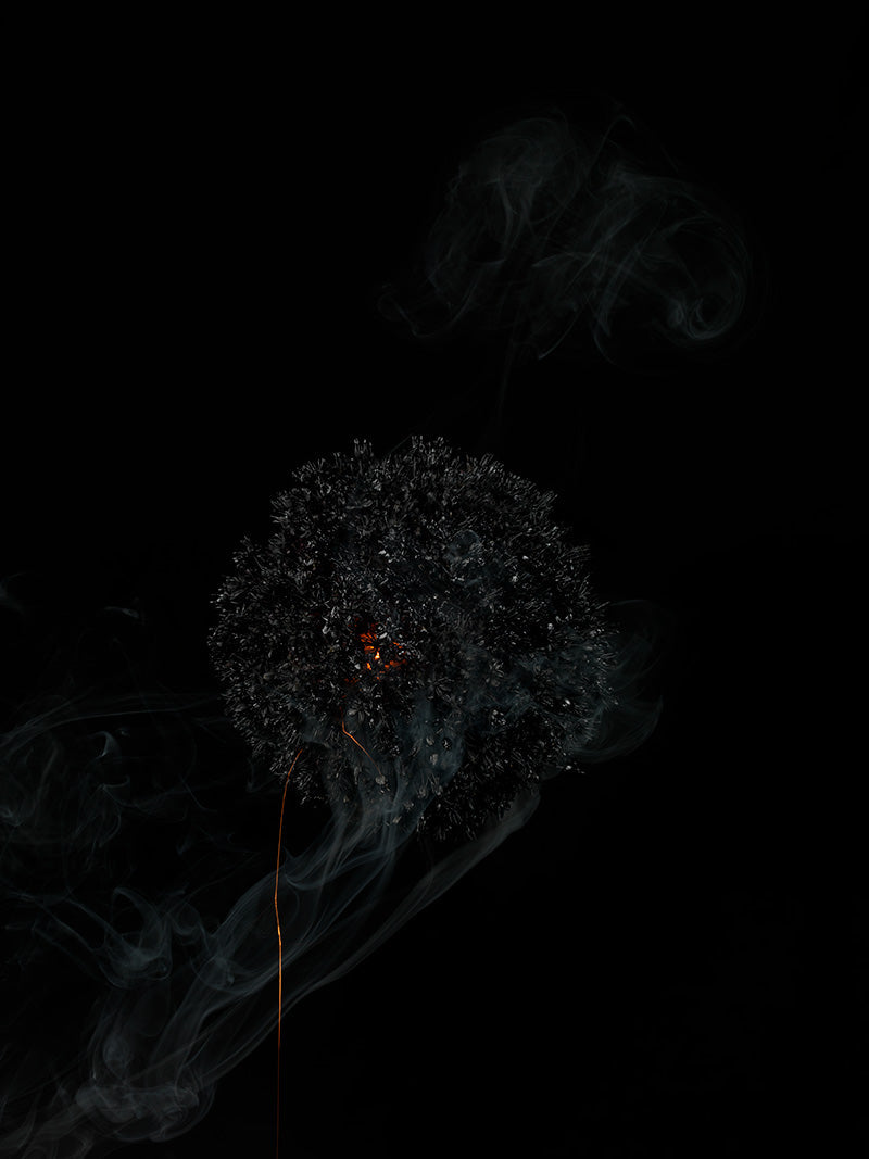 Underwater photograph exploding flower series sparks energy shot Cool Low Light tonality from the Fusion series