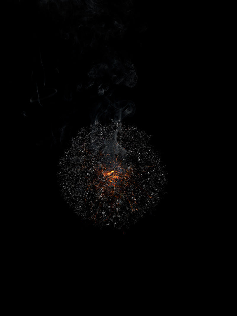 Underwater photograph exploding flower series sparks energy shot Warm Low Light tonality from the Fusion series