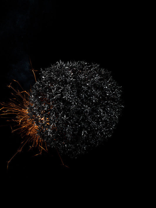 Underwater photograph exploding flower series sparks energy shot Warm Low Light tonality from the Fusion series