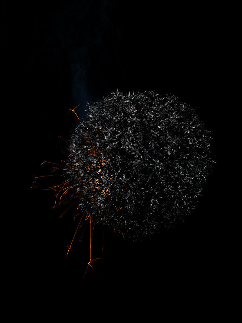 Underwater photograph exploding flower series sparks energy shot Warm Low Light tonality from the Fusion series