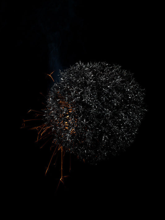 Underwater photograph exploding flower series sparks energy shot Warm Low Light tonality from the Fusion series