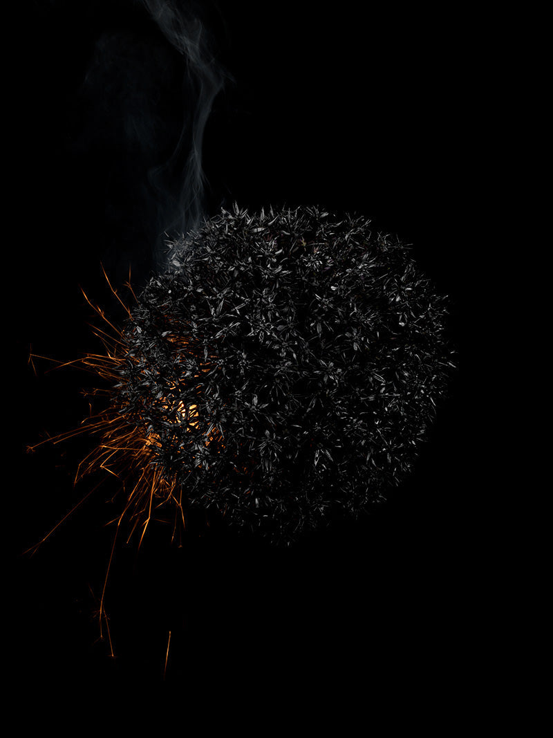 Underwater photograph exploding flower series sparks energy shot Warm Low Light tonality from the Fusion series