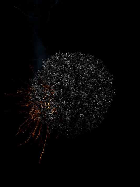 Underwater photograph exploding flower series sparks energy shot Warm Low Light tonality from the Fusion series