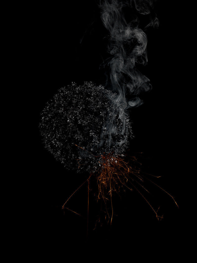 Underwater photograph exploding flower series sparks energy shot Warm Low Light tonality from the Fusion series