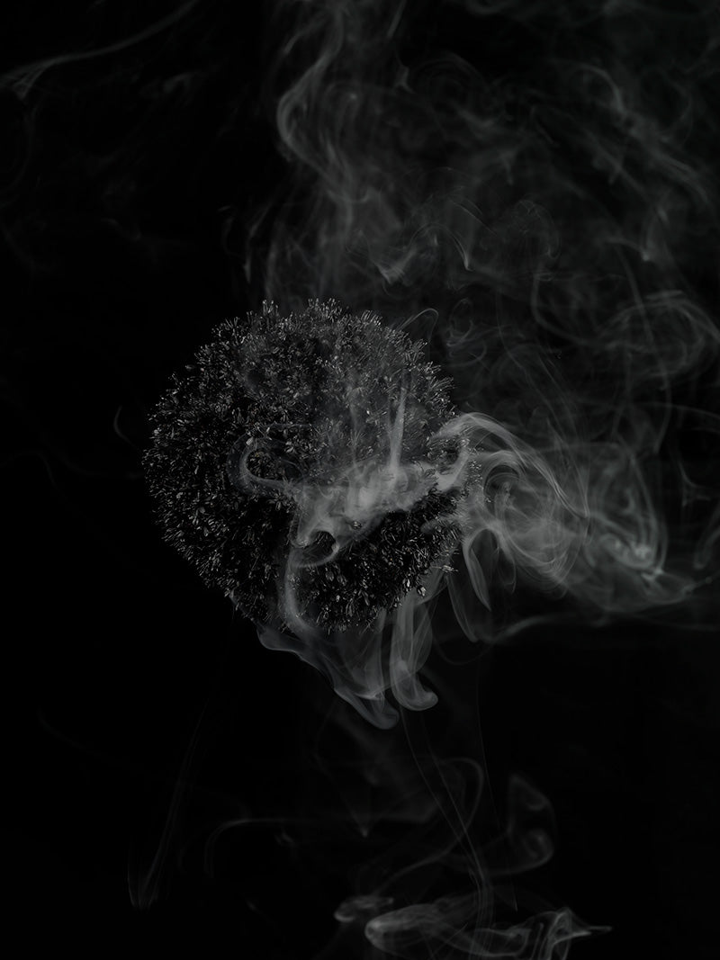 Underwater photograph exploding flower series sparks energy shot Verdant Low Light tonality from the Fusion series