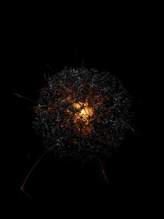 Underwater photograph exploding flower series sparks energy shot Warm Low Light tonality from the Fusion series