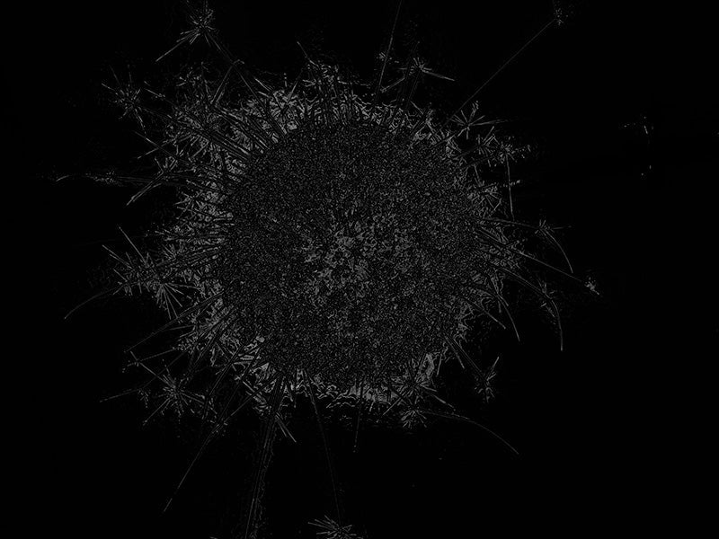 Underwater photograph exploding flower series sparks energy shot Neutral Low Light tonality from the Fusion series