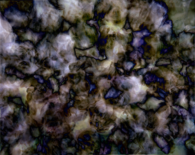 Underwater photograph floral asbtract Warm Low Light tonality