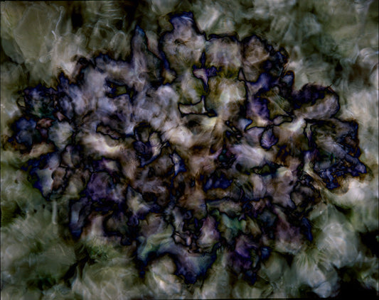 Underwater photograph floral asbtract Warm Low Light tonality