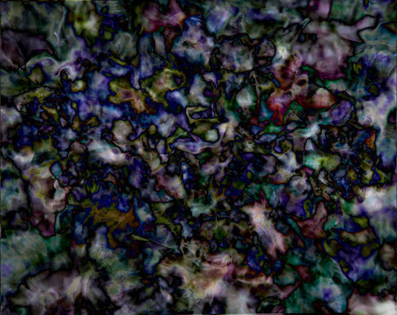 Underwater photograph floral asbtract Cool Low Light tonality