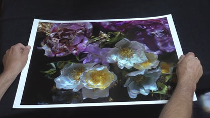 Floral Vanitas Drop - 100 Unique Prints