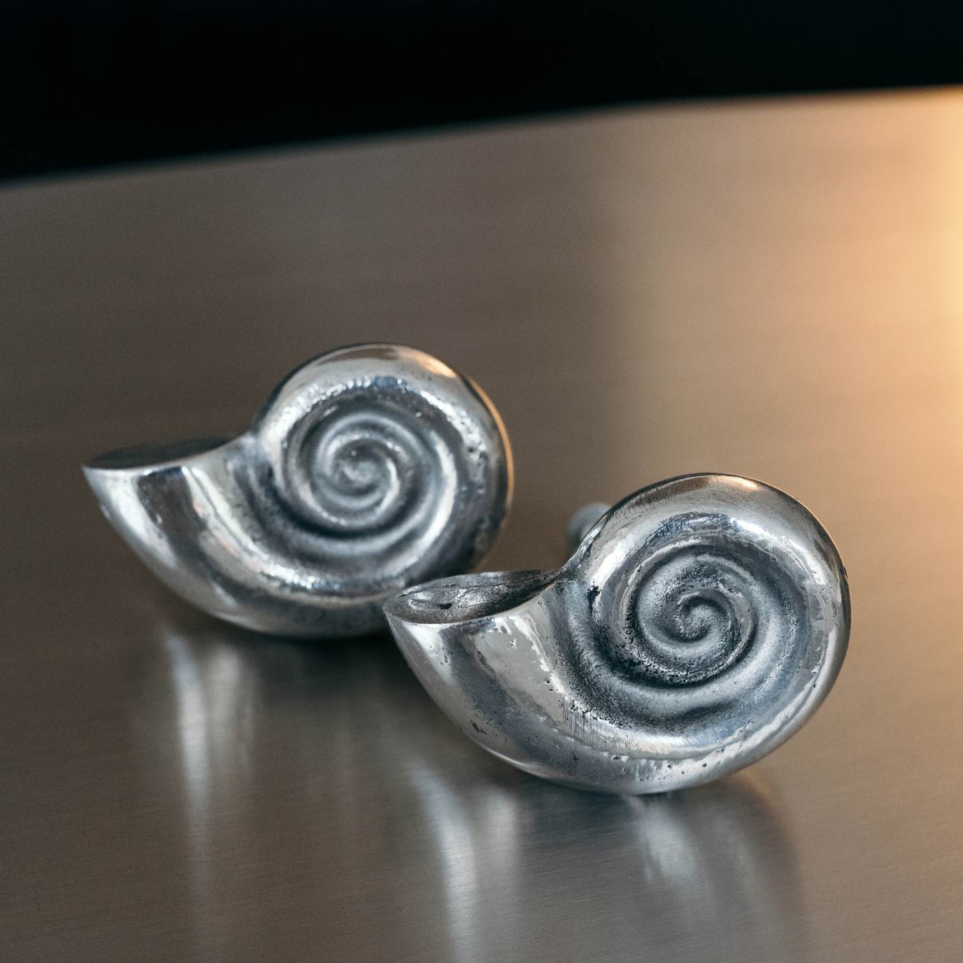 a pair of sea shell seashell drawer and door pulls handles