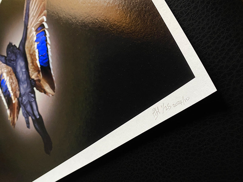 Limited edition Jesus art print signed