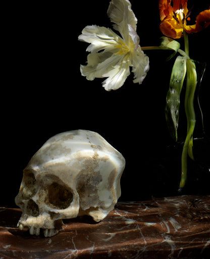 The great leveller, Underwater Vanitas Print  photographic print - €3200 | Shop now & buy direct from the artists studio - Distil Ennui ™ est.1990.