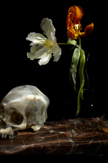 The great leveller, Underwater Vanitas Print  photographic print - €3200 | Shop now & buy direct from the artists studio - Distil Ennui ™ est.1990.