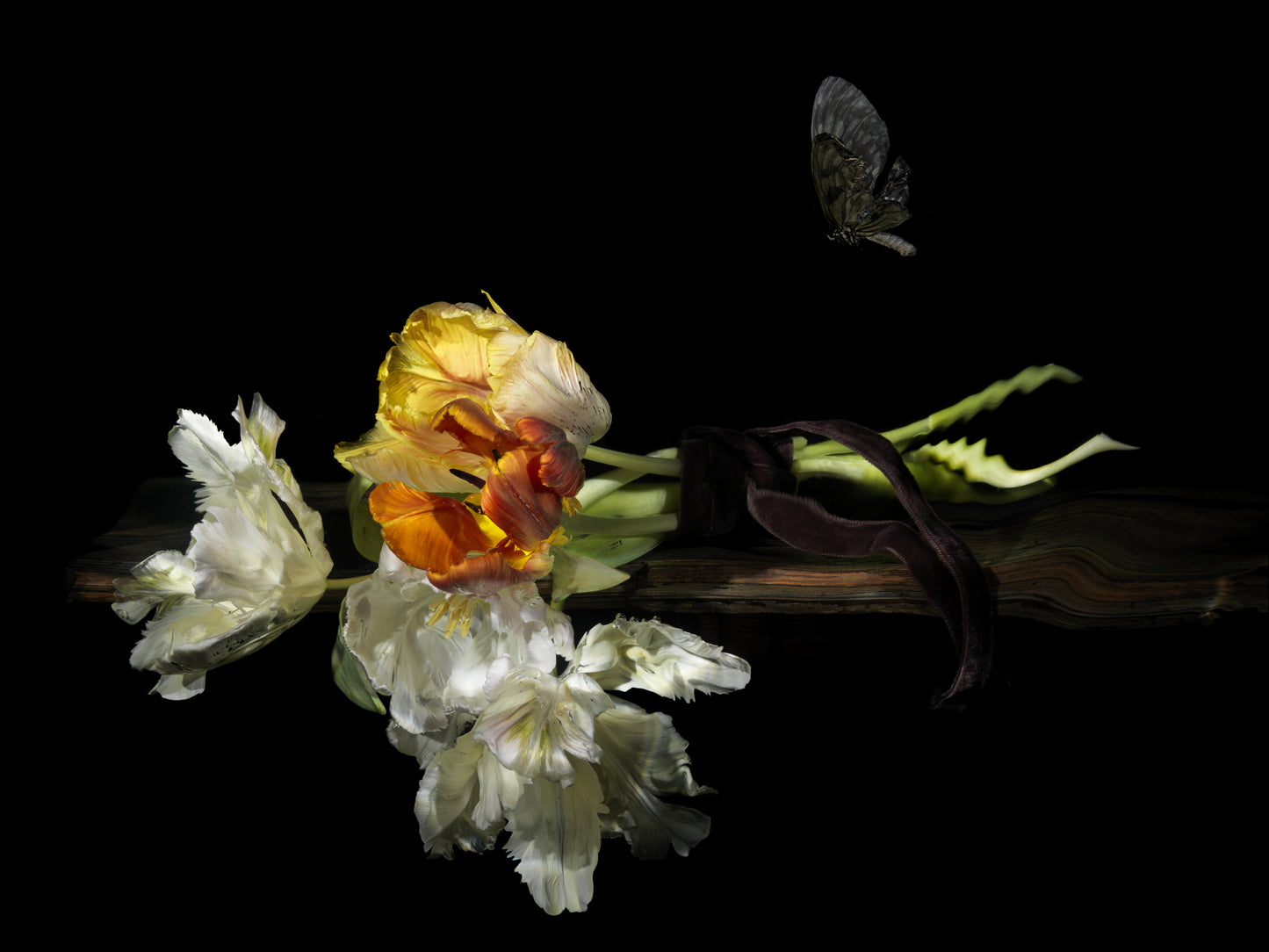 Dried flowers and leaves on a reflective surface with a black background