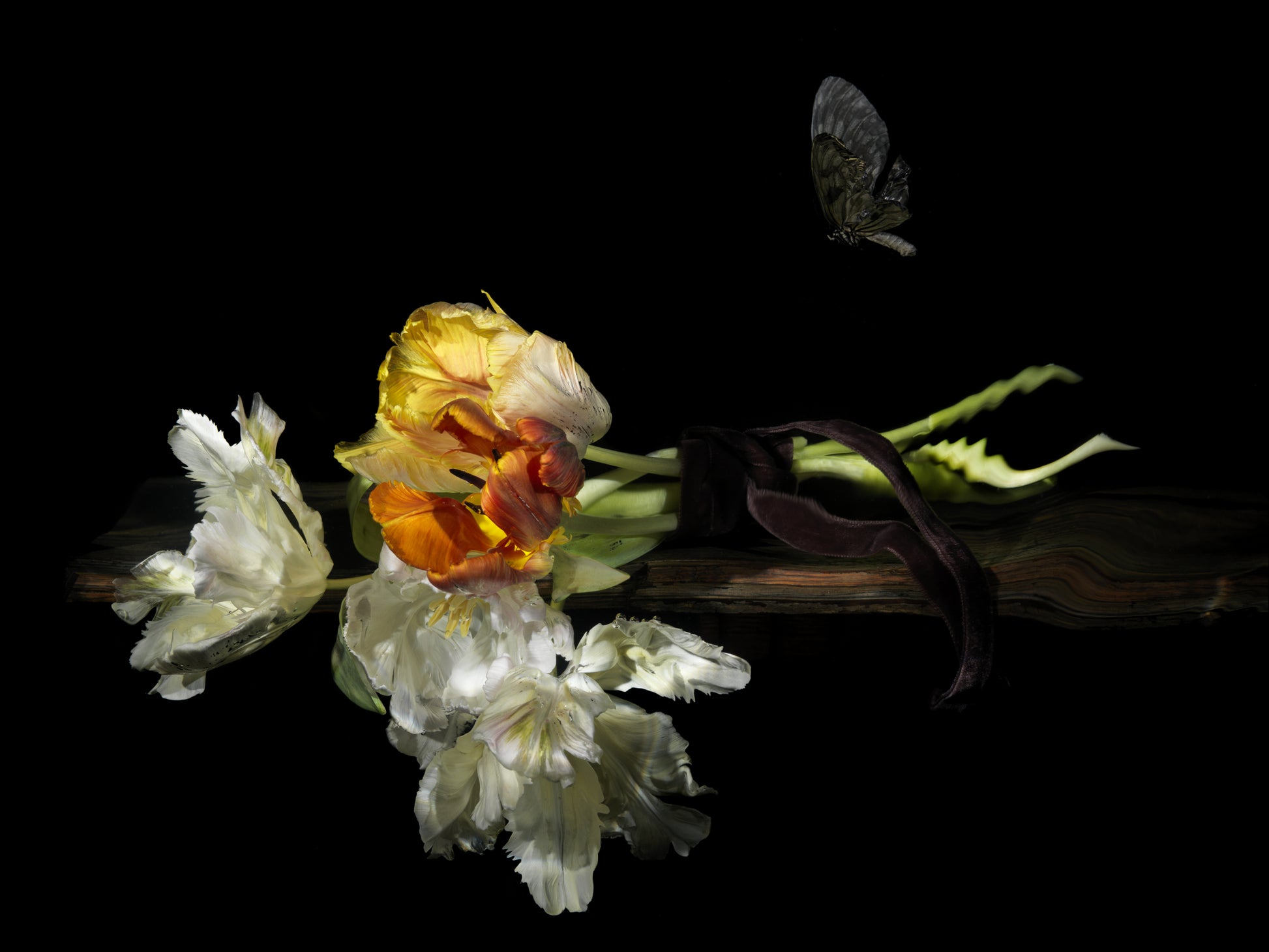 Dried flowers and leaves on a reflective surface with a black background