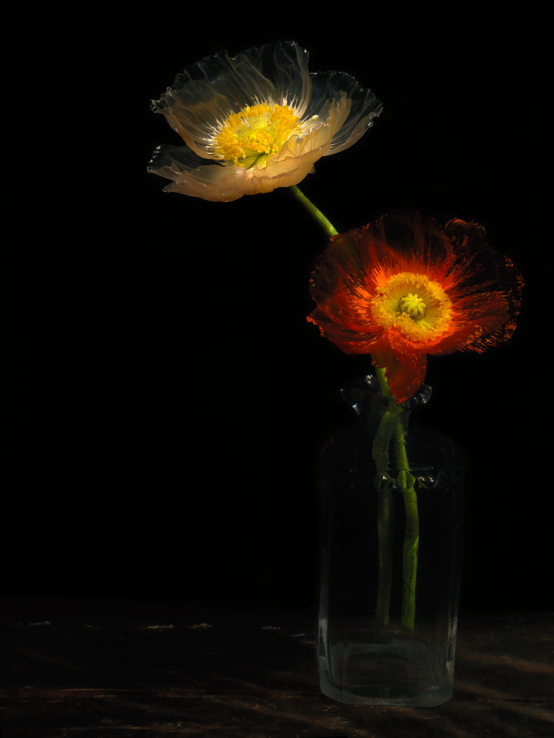 Vanitas still life with poppies in glass vessel