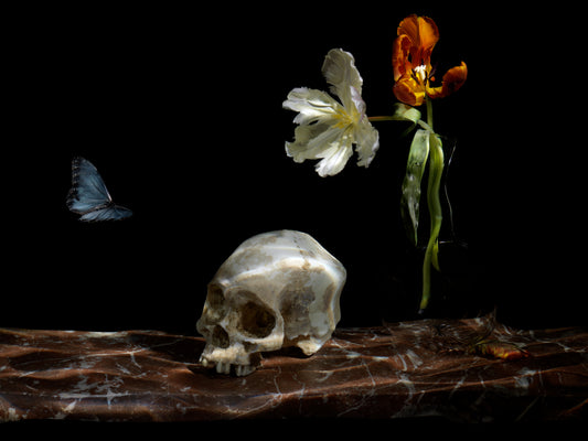 Vanitas composition with skull, flowers, and butterfly
