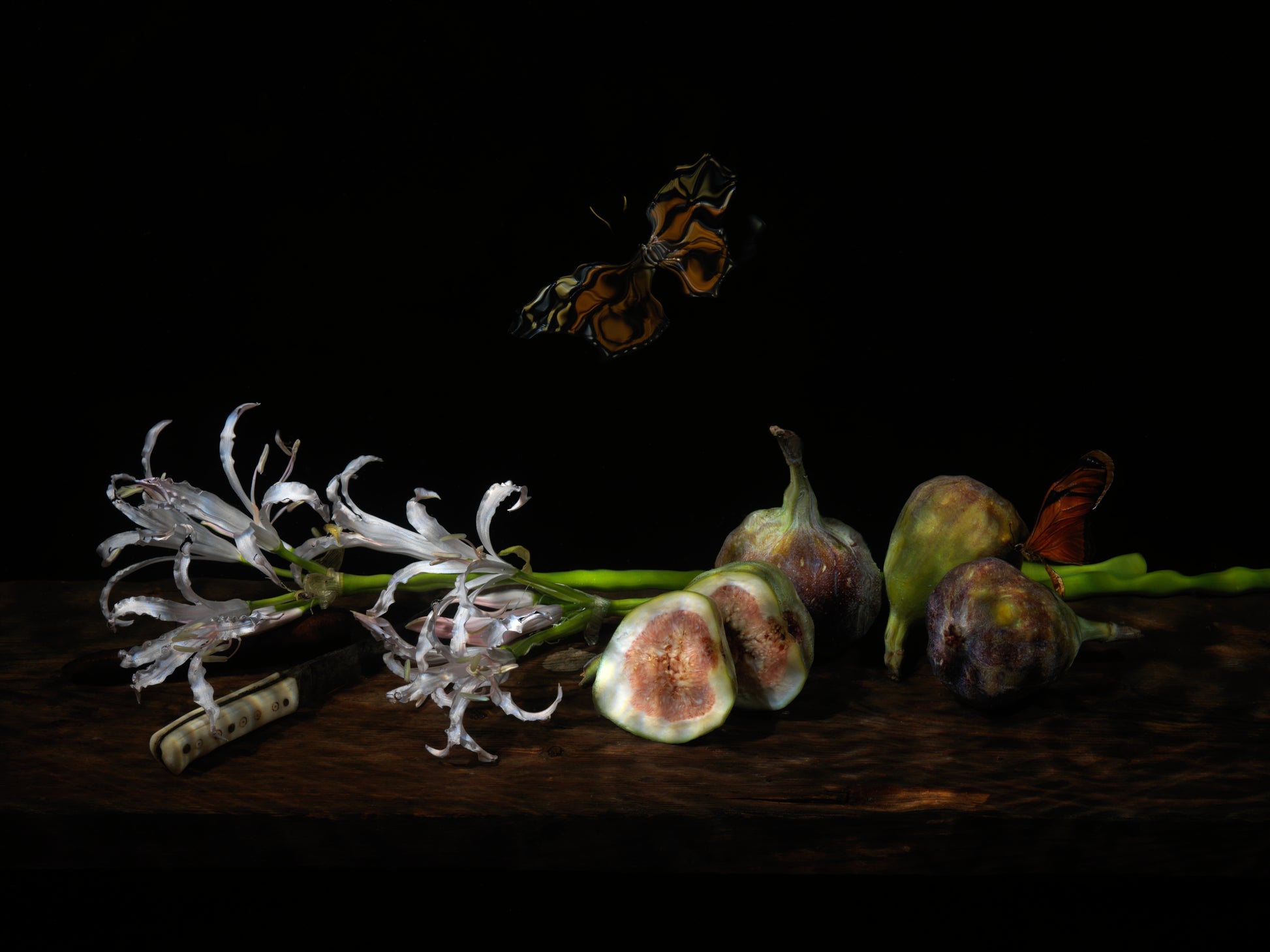 Vanitas still life with figs, flowers, and butterfly