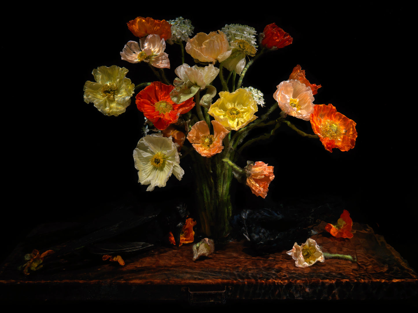 Vanitas still life with poppies