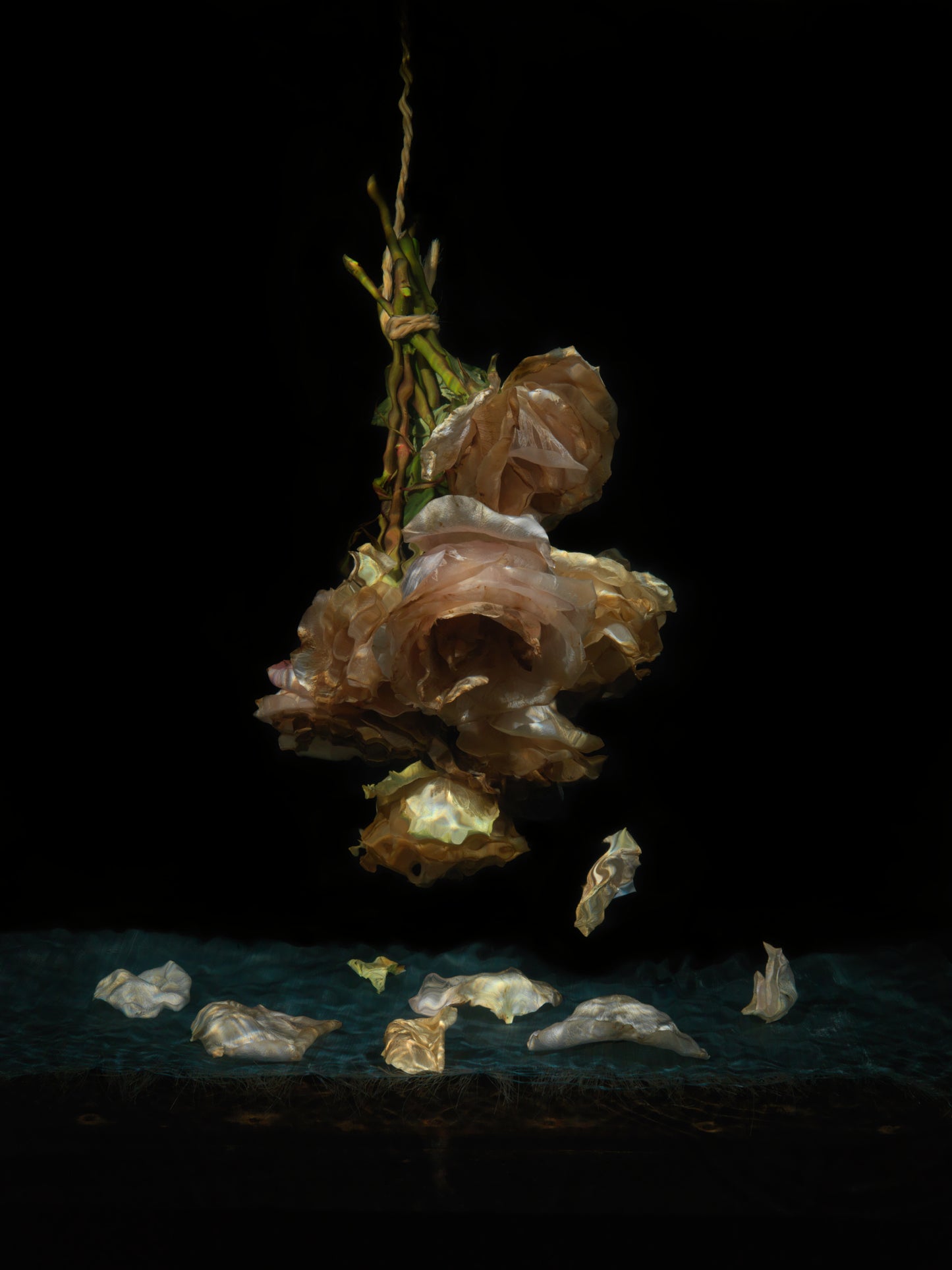 Vanitas Variations Plate 2445, underwater still life photograph