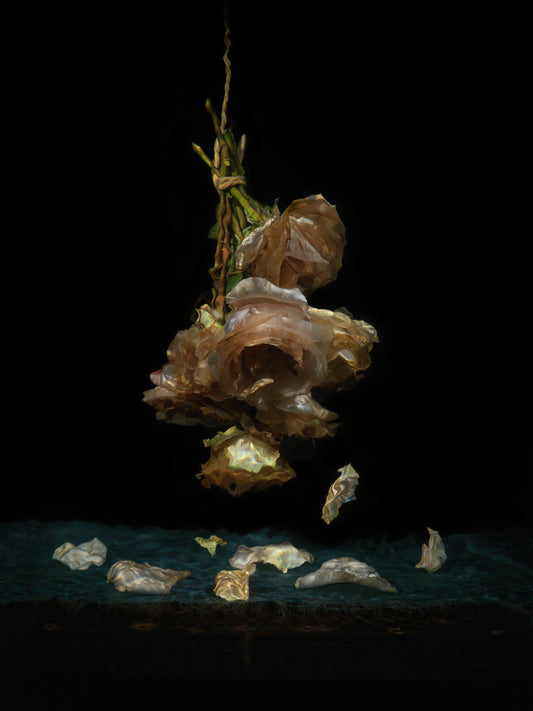 Vanitas Variations Plate 2445, underwater still life photograph
