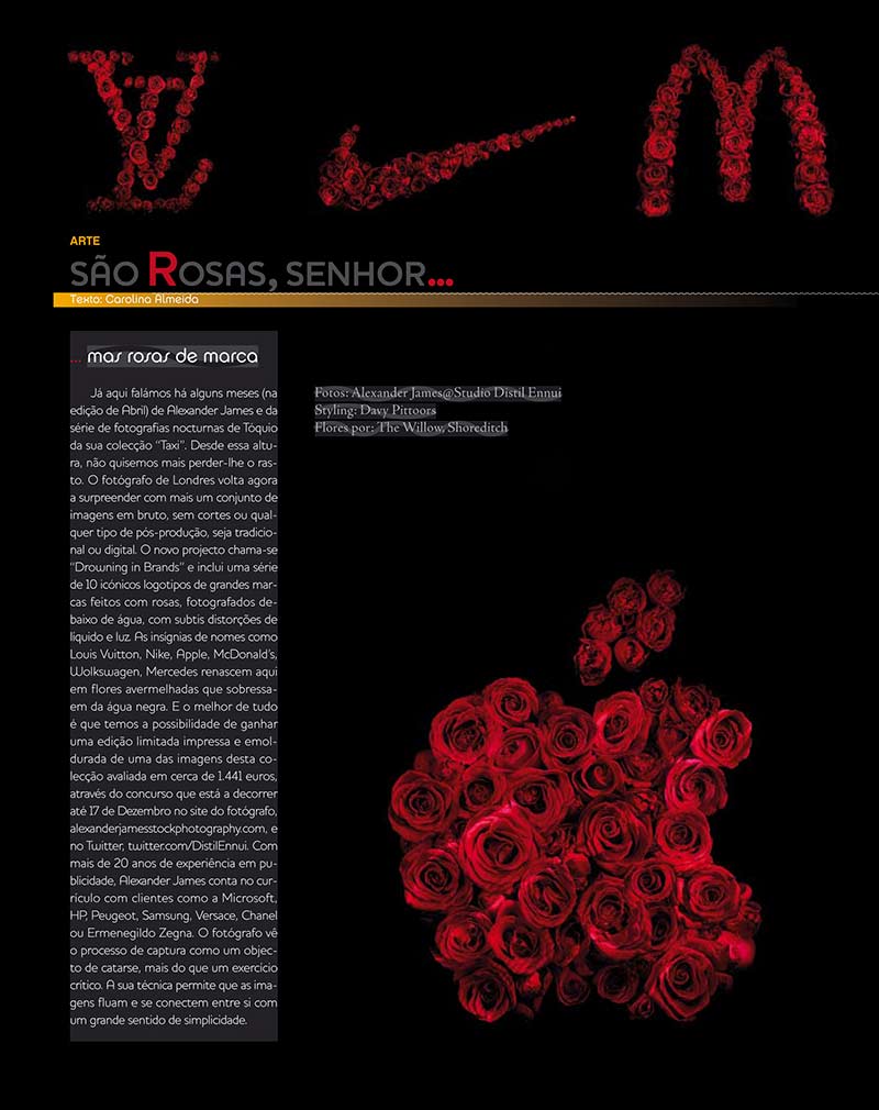 DIF Magazine publish 'Rosae' series of underwater roses formed into recognisable brands.