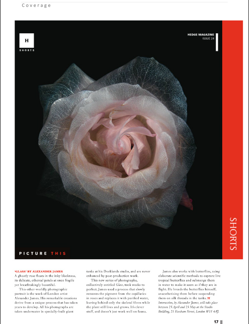 Hedge Magzine visit underwater photography vanitas exhibition INTERSECTION