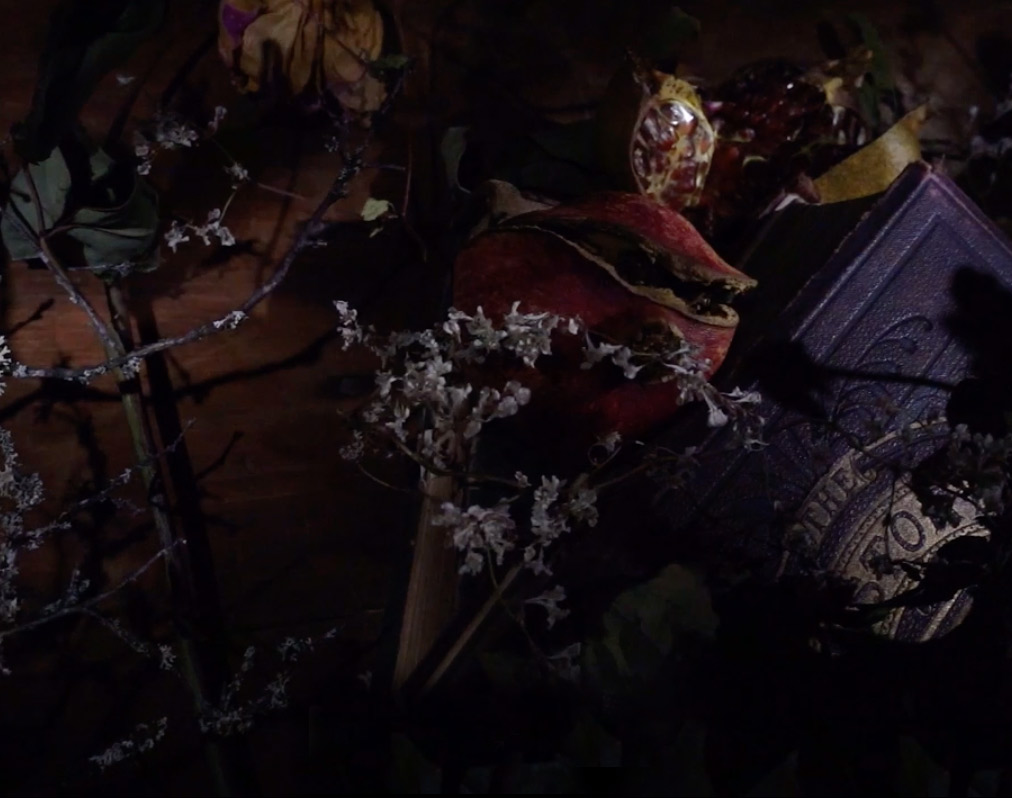 Artist hand makes his own studio and gallery lighting to explore underwater flower  Vanitas from old beer cans